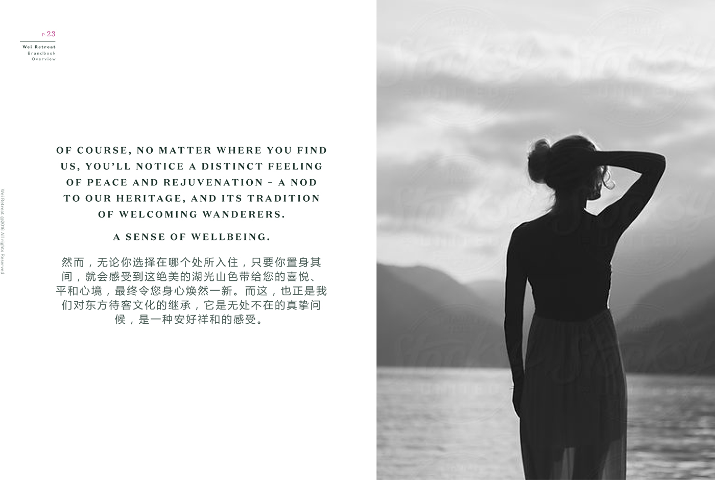 自動(dòng)雙量程 分析天平PTY系列